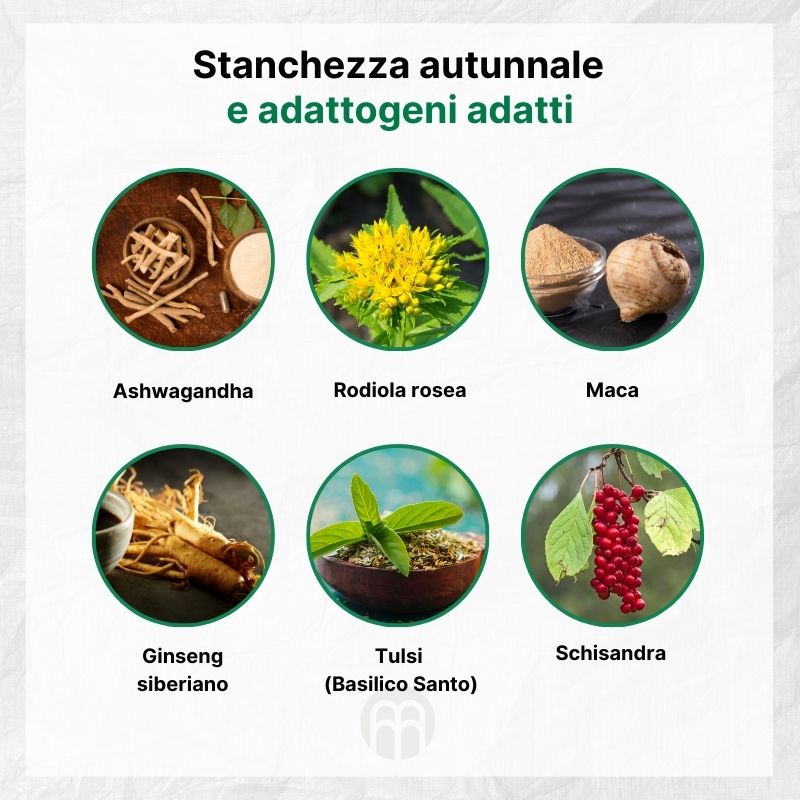 (Italština) Podzimní únava a vhodné adaptogeny